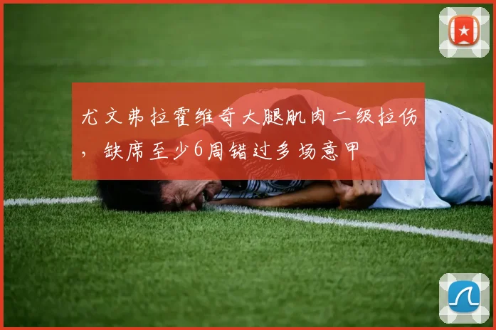 尤文弗拉霍维奇大腿肌肉二级拉伤，缺席至少6周错过多场意甲