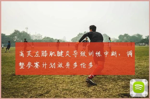 高芙左膝肌腱炎导致训练中断，调整参赛计划放弃多伦多
