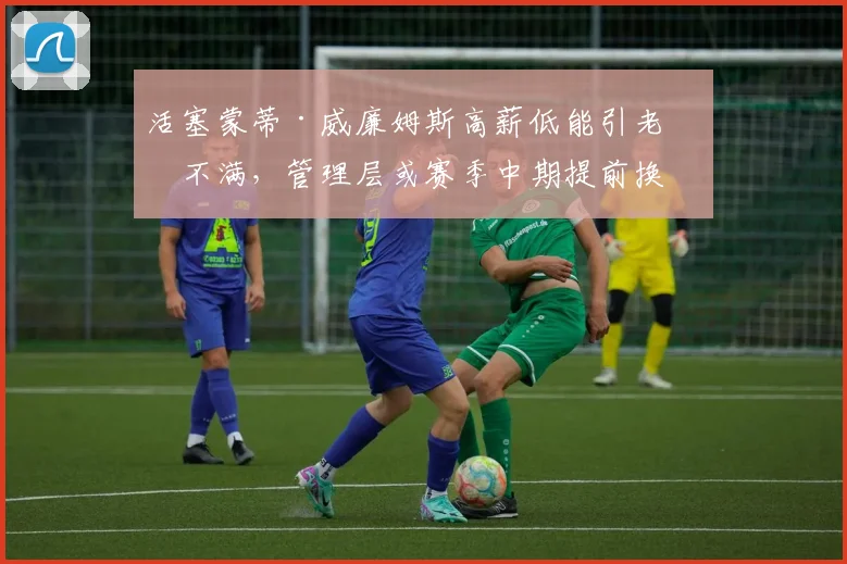 活塞蒙蒂·威廉姆斯高薪低能引老板不满，管理层或赛季中期提前换帅